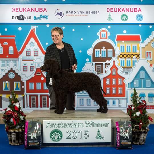 Bognaneilean Fox and Cubs Junior 3BIS Winner